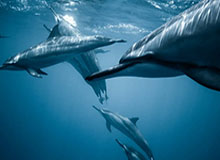 开云体育下载-孙兴慜：我长得帅？球踢得好更重要 凯恩是世一锋